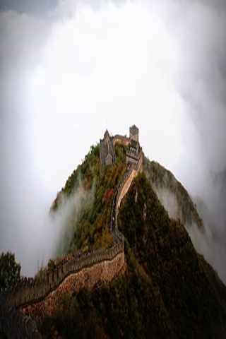 三人同行，一人免单——健康之旅，共享更快乐！